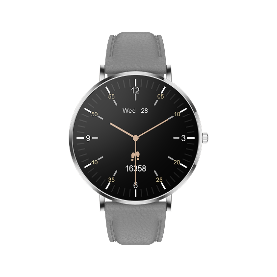 ASUKA Argent Classique Vue Arrière